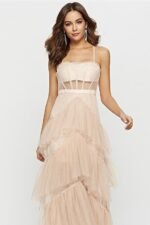 Arlene Corset Leayered Mesh Slip Maxi Dress - Image 3