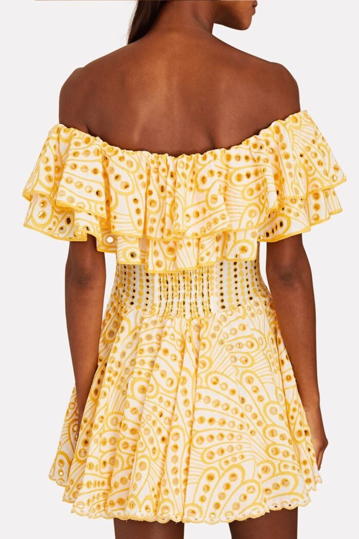 Dolly Embroidered Lace Ruffle Bodice Flare Mini Dress - Image 4