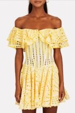 Dolly Embroidered Lace Ruffle Bodice Flare Mini Dress - Image 3