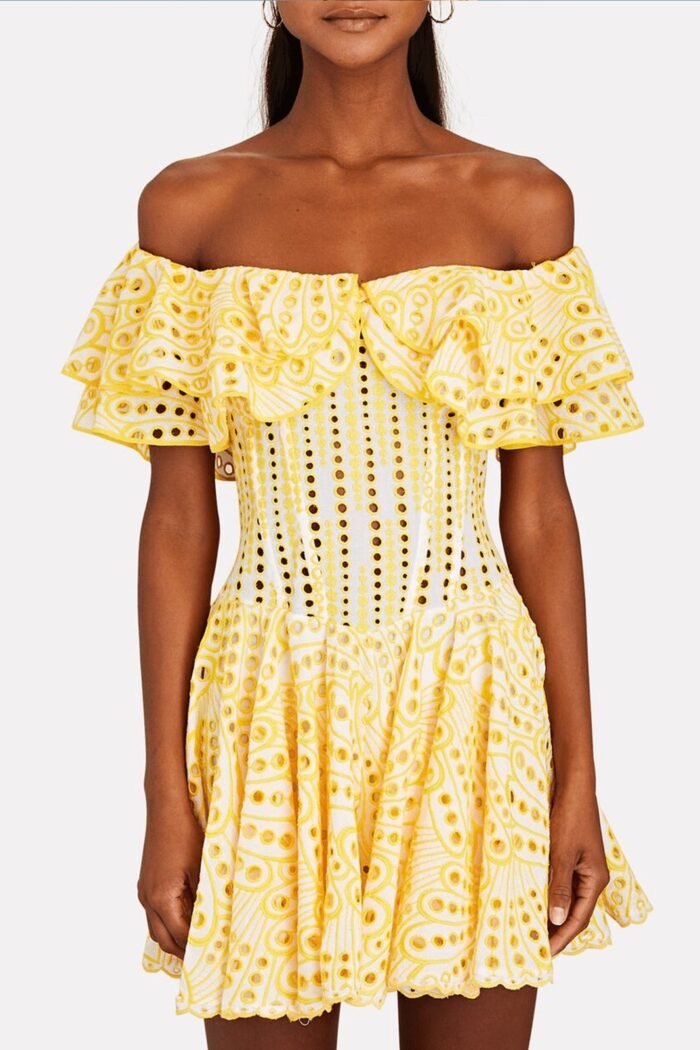 Dolly Embroidered Lace Ruffle Bodice Flare Mini Dress - Image 3
